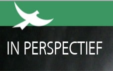 inperspectief